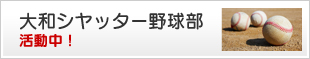 大和シャッター野球部